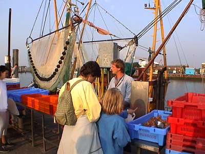 Krabbenkauf im Bensersieler Hafen